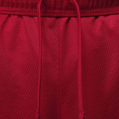 Шорти чоловічі Jordan Sport Essentials Dri-Fit gym red