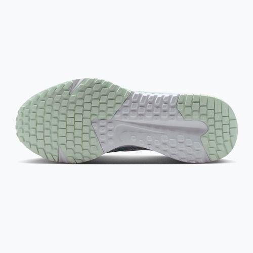 Кросівки для бігу жіночі Nike Run Defy summit white/white/metallic silver