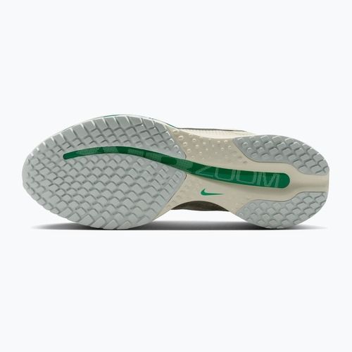 Кросівки для бігу жіночі Nike Pegasus Premium sea glass/malachite/metallic silver
