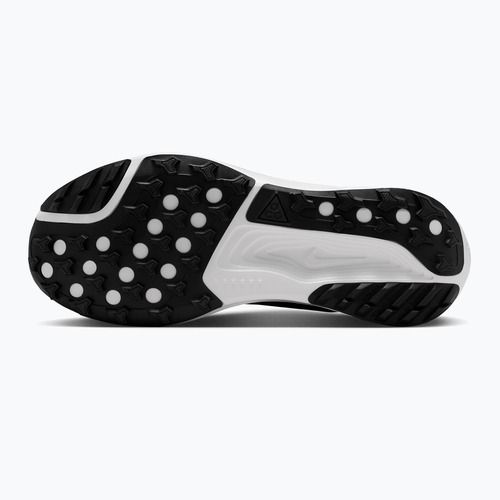 Кросівки для бігу чоловічі Nike ACG Pegasus Trail black/anthracite/summit white