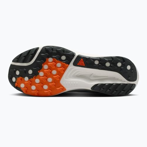 Кросівки для бігу чоловічі Nike ACG Pegasus Trail jade horizon/light silver/phantom