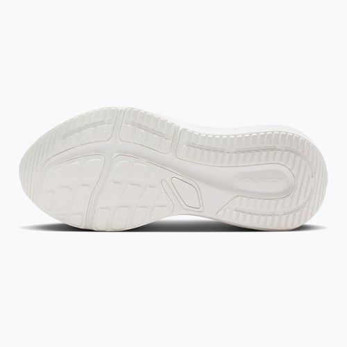 Кросівки для бігу чоловічі Nike Winflo 12 white/summit white/metallic silver