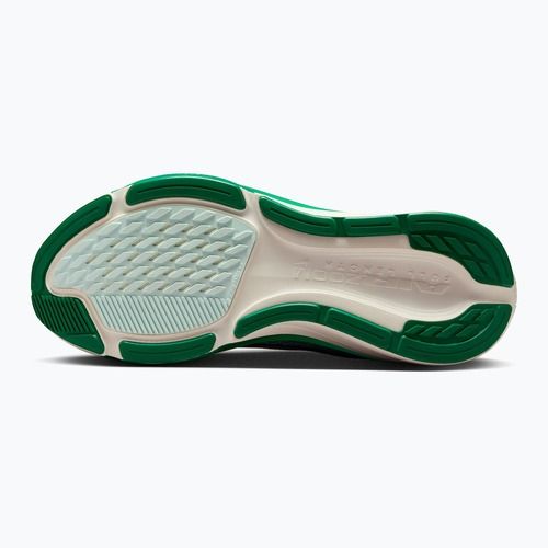 Кросівки для бігу жіночі Nike Pegasus 42 white/malachite/metallic silver