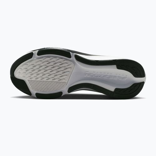 Кросівки для бігу чоловічі Nike Pegasus 42 summit white/metallic silver-photon dust