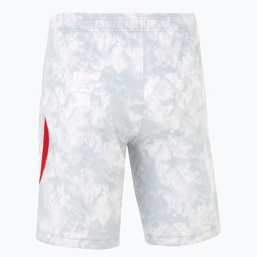Шорти футбольні чоловічі Nike Dri-Fit Poland Stadium Home white/field silver