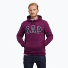 Кофта чоловіча GAP V-Heritage Logo PO SNL beach plum