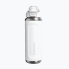 Пляшка термічна Stanley Classic Wellspring frost