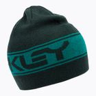 Шапка Oakley TNP Reversible зелена FOS901066