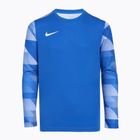 Футбольна кофта дитяча Nike Dry-Fit Park IV блакитна CJ6072-463