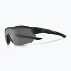 Чоловічі сонцезахисні окуляри Nike Show X3 Elite L матові чорні/темно-сірі