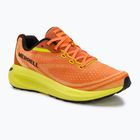 Чоловічі бігові кросівки Merrell Morphlite melon/hiviz