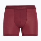 Боксери термоактивні чоловічі icebreaker Anatomica Boxers port