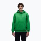 Кофта чоловіча Napapijri B-Linth Hooded green kelly