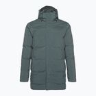 Чоловічий пуховик Patagonia Jackson Glacier Parka nouveau green