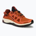 Чоловічі водні кросівки Salomon Techamphibian 5 spice route/палена хна/чорні