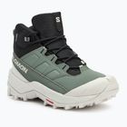 Черевики трекінгові жіночі Salomon Crosstrak WP agave green/black/can ary green