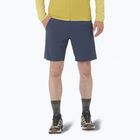 Шорти чоловічі Salomon Wayfarer Ease blue nights