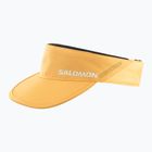 Козирок Salomon SHAKEout apricot