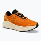 Кросівки для бігу чоловічі Salomon Aero Glide 3 turmeric/white/black