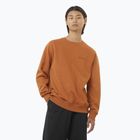 Кофта чоловіча Salomon Logo Crewneck sierra