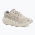 Кросівки для бігу жіночі Salomon Aero Blaze 3 GRVL vanila/almond milk