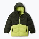 Куртка лижна дитяча Columbia Arctic Blast II greenscape/ voltage