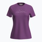 Льодохідна жіноча трекінгова футболка Merino 150 Tech Lite SS Tee Sparkling Stars passion