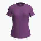 Футболка трекінгова жіноча icebreaker Merino 125 Cool-Lite Sphere III SS Tee passion