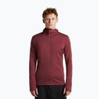 Кофта чоловіча Icebreaker Merino 260 Quantum IV LS Zip Hoodie port/agate