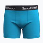 Боксерки термічні чоловічі Smartwool Merino Boxer Brief pool blue