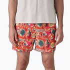 Шорти чоловічі Patagonia Baggies 5" wrasse/pollinator orange