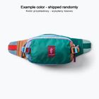 Сумка бананка Cotopaxi Allpa X Hip Pack 1,5 l del dia