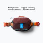 Сумка бананка Cotopaxi Allpa X Hip Pack 1,5 l vapor and smoke
