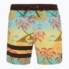Шорти для плавання чоловічі Hurley Phantom Eco Block Party Volley 17" pineapple