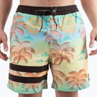 Шорти для плавання чоловічі Hurley Phantom Eco Block Party Volley 17" pineapple