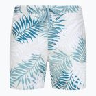 Шорти для плавання чоловічі Quiksilver Wild Fern Volley 17"