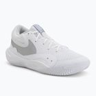 Кросівки волейбольні Nike Hyperquick Court Flight white/photon dust/metallic silver