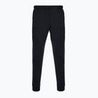 Штани чоловічі Nike Primary Dri-Fit UV Jogger black/black