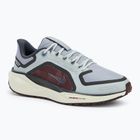 Жіночі кросівки Nike Pegasus 41 GTX світлий пемза / бордовий краш / темний димчасто-сірий / попелястий шифер