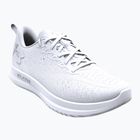 Чоловічі бігові кросівки Under Armour Velociti 4 white/white/white