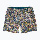 Шорти жіночі Patagonia Baggies 5" wild botanist/tidal teal