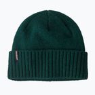 Шапка зимова Patagonia Brodeo Beanie cascade green