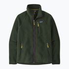 Кофта трекінгова чоловіча Patagonia Retro Pile old growth green