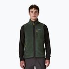 Жилет чоловічий Patagonia Retro Pile Fleece old growth green