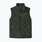 Жилет чоловічий Patagonia Retro Pile Fleece old growth green