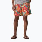 Шорти чоловічі Patagonia Baggies Longs 7" tropiclimb/hot ember