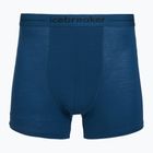 Труси термічні чоловічі icebreaker Anatomica atlantis