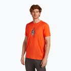 Футболка чоловіча icebreaker Merino 150 Tech Lite Bear Tour fervid