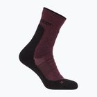 Шкарпетки чоловічі icebreaker Merino Hike+ Heavy Crew java/black