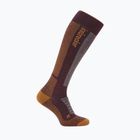 Шкарпетки гірськолижні чоловічі Icebreaker Merino Ski+ Medium OTC java/trail/seaglass